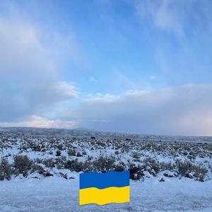 Meet your Posher, Josie